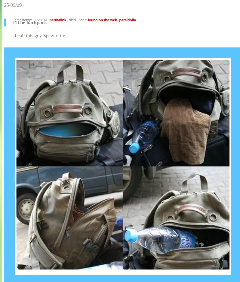 A backpack that looks a little like a face